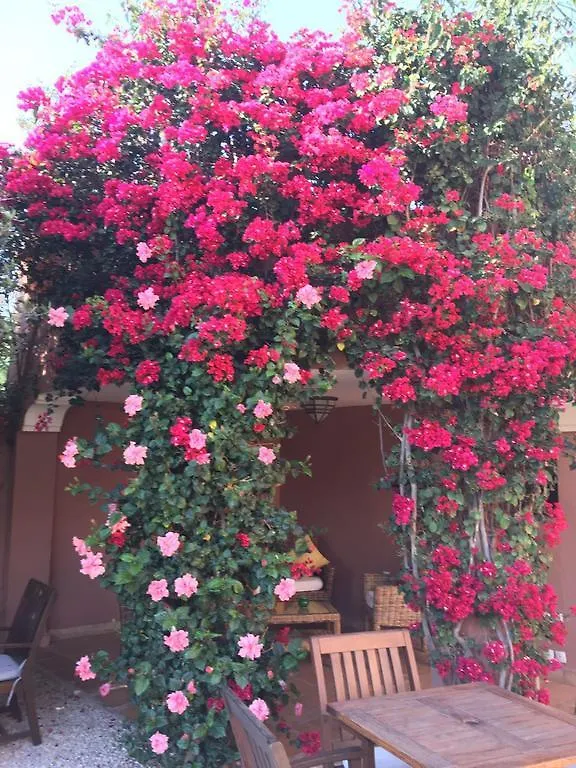 Al Fassia Aguedal Hotel Marrakesh Morocco
